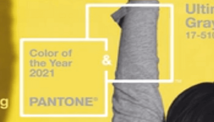 Farben des Jahres 2021 von Pantone